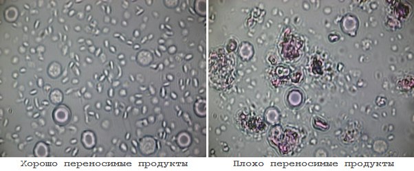 Prime test на пищевую непереносимость